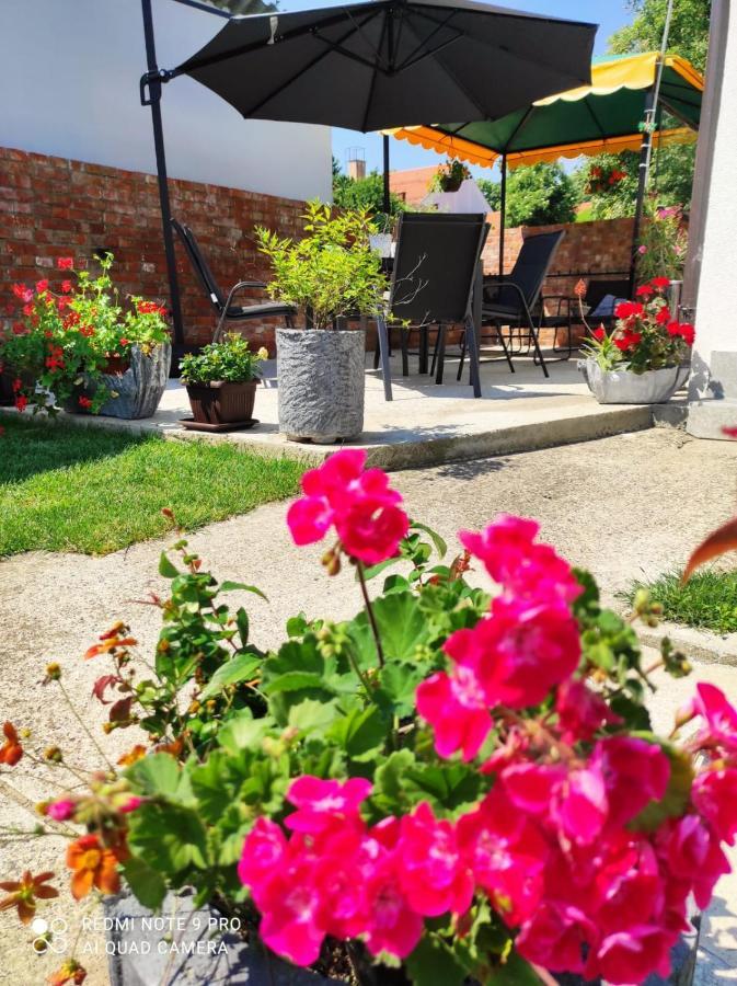 Apartman Relax Ðakovo Esterno foto